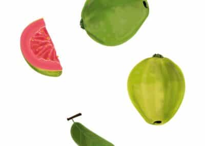Guayaba